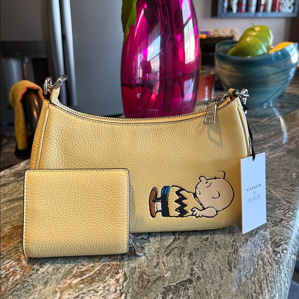 NWT Coach Teri PEANUTS Charlie Brown Bag & Wallet Set - Picture 2 of 6
